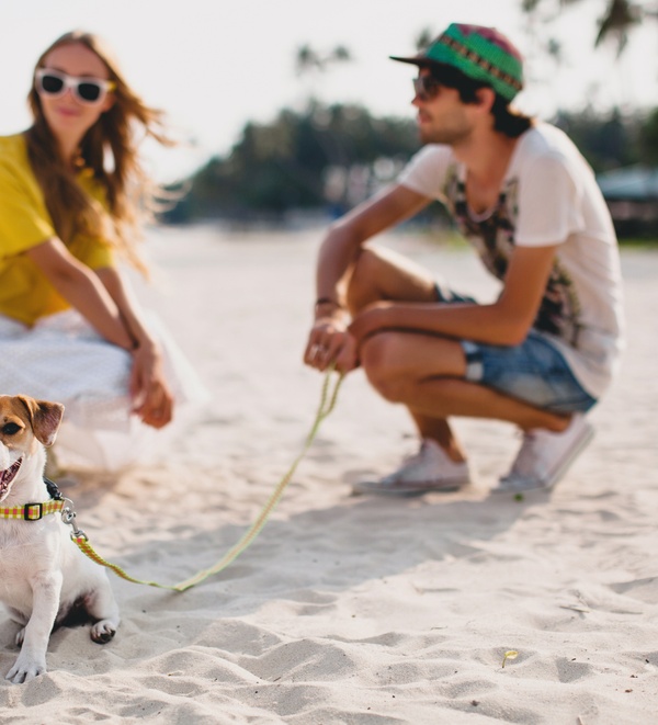 Water safety for dogs tips