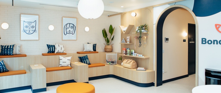 Modern veterinary clinic reception with wooden decor, branding, and pet care products on display.