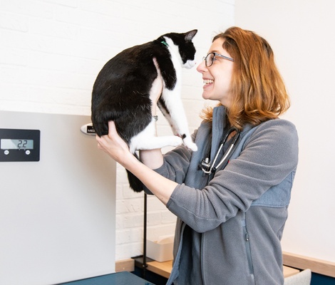 Veterinarian smiling at cat