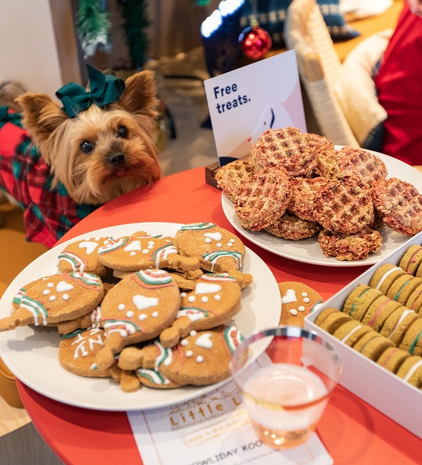 Holiday foods for pets