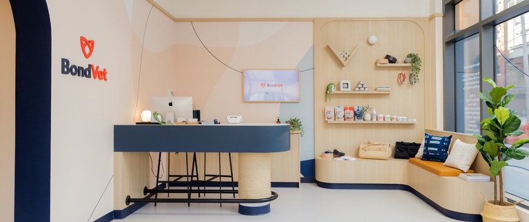 Modern veterinary clinic reception with wooden decor, branding, and pet care products on display.