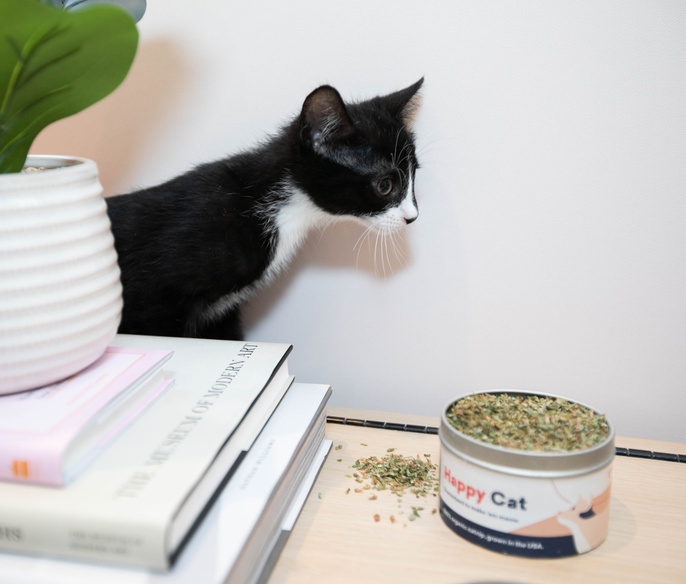 Vet with pet in lobby