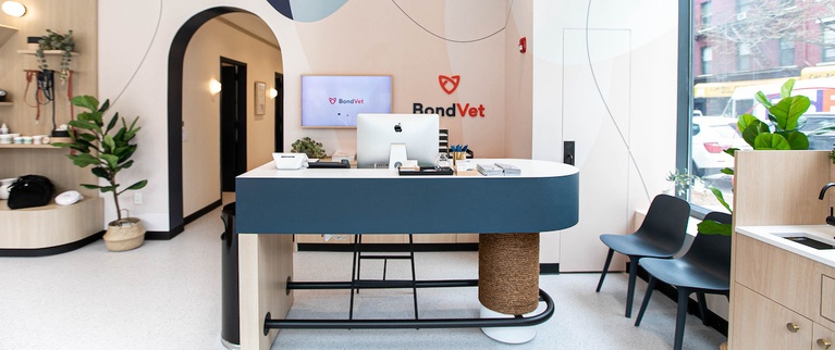 Modern veterinary clinic reception with clean design and indoor plants.