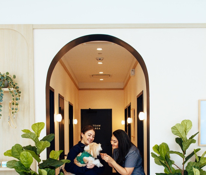 Vet with pet parent in clinic lobby