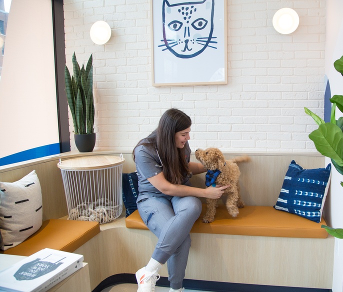 Vet with pet in lobby