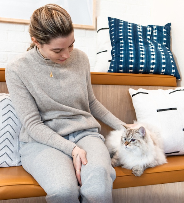 Amputations for cats and dogs