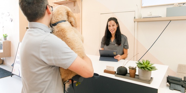 Pet Insurance: How It Works and Why It's Worth It