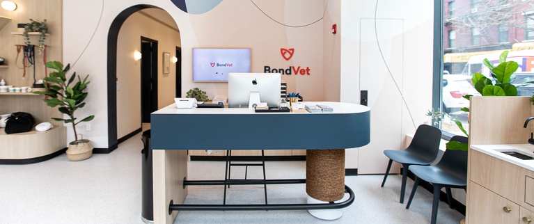 Modern veterinary clinic reception area with clean design and bright lighting.