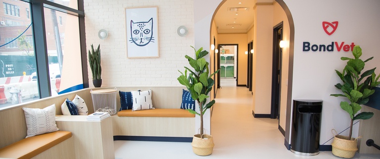 Modern reception area with a minimalist design featuring clean lines, a neutral color palette, and decorative plants.