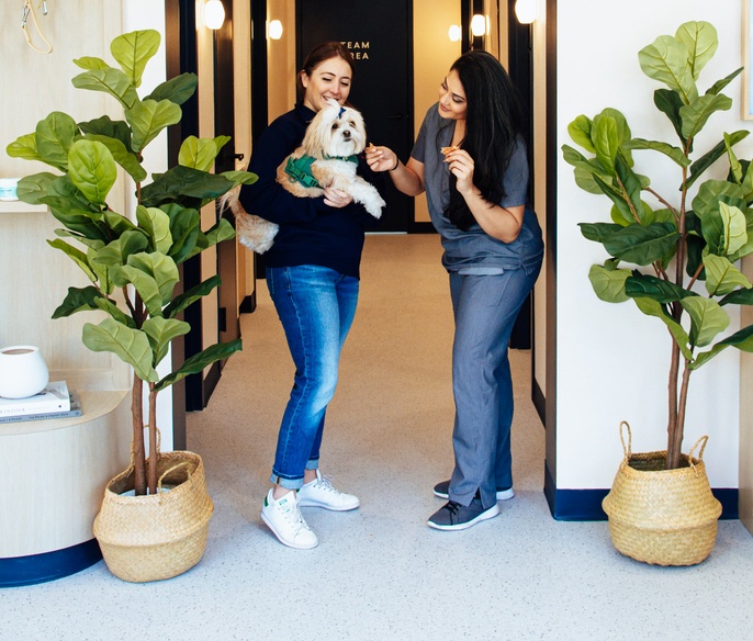 Vet with pet parent in clinic lobby